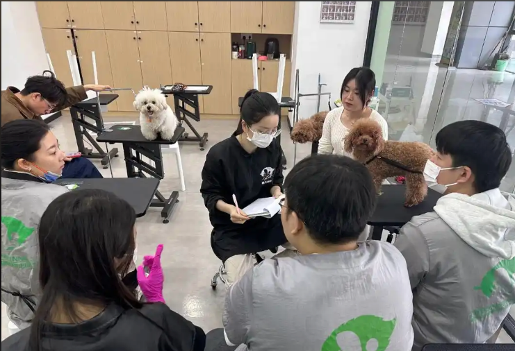 周口市宠物美容学习宠物美容培训学校 - 排名